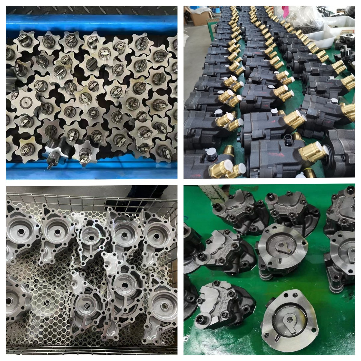 China Taizhou Lanqing Oil Pump Co.,Ltd Bedrijfsprofiel